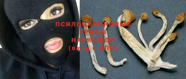 спайс Алексеевка